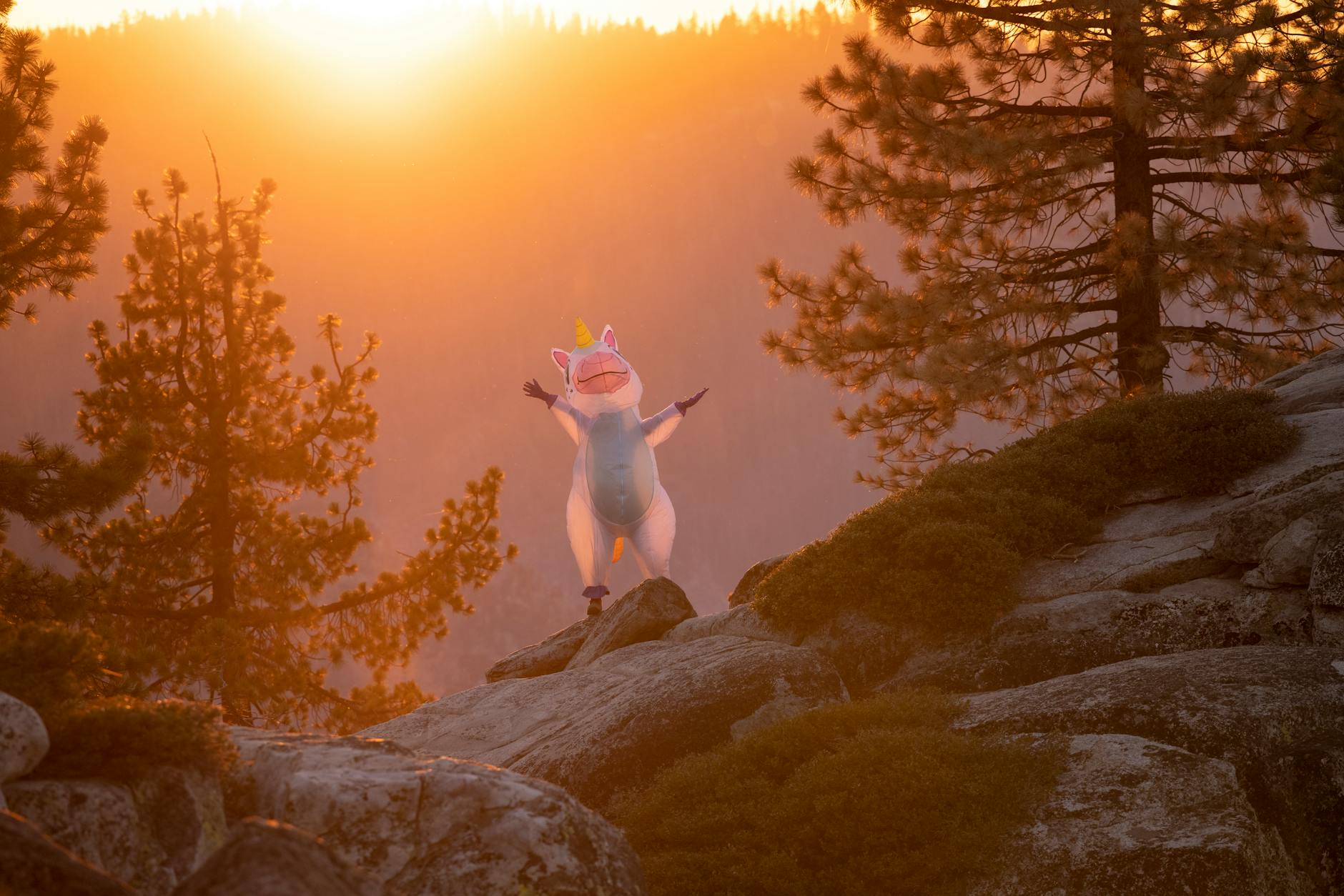 Ethical Unicorn Hunting: Is it possible?